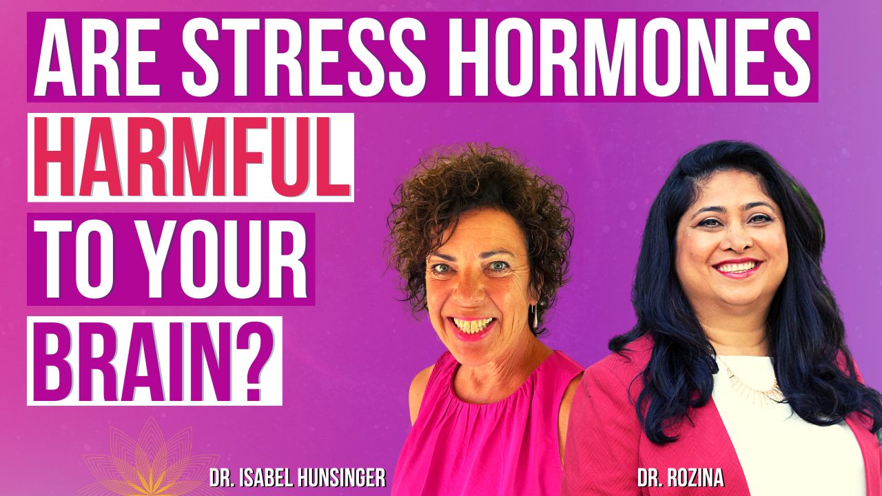 video-interview-hormones-and-brain-plasticity-how-do-stress